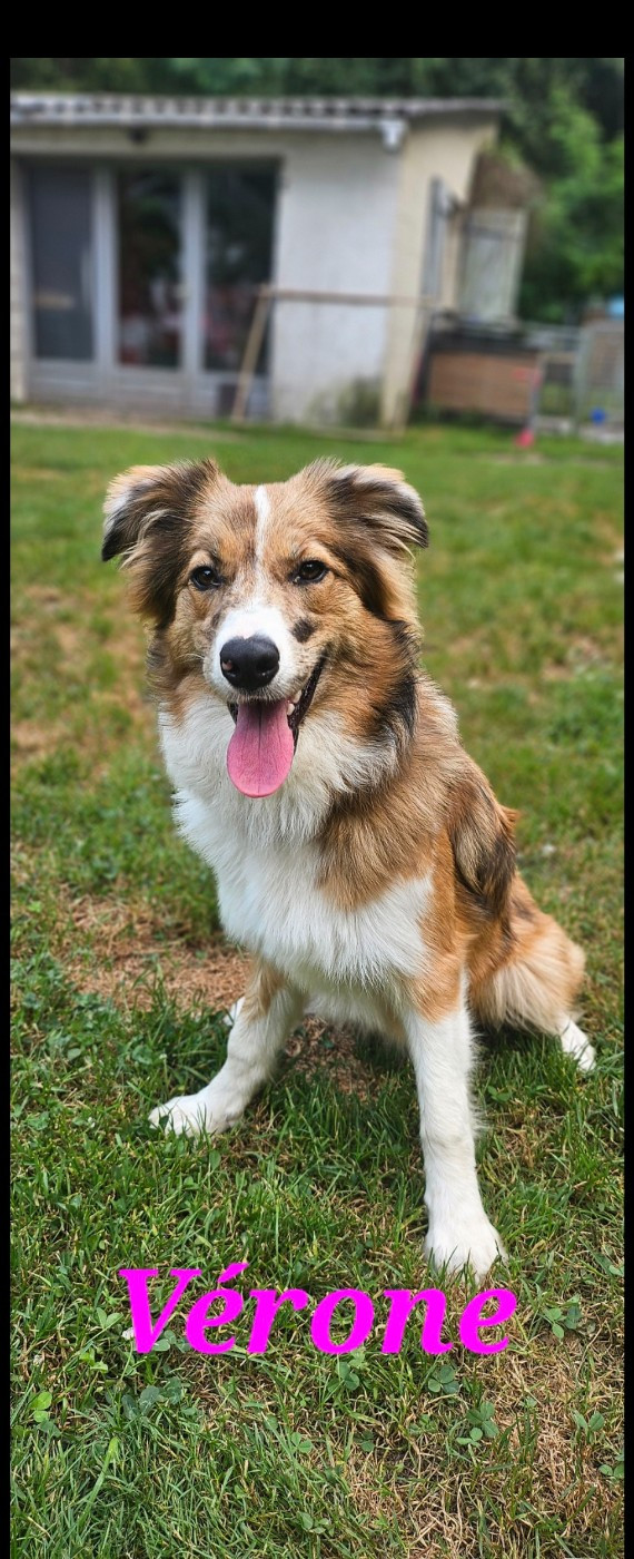 Vérone De L'Aisance Des Bois